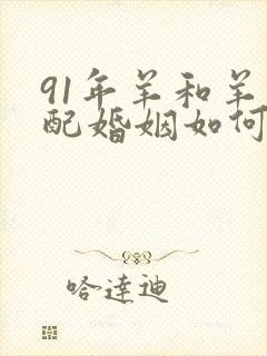 91年羊和羊相配婚姻如何