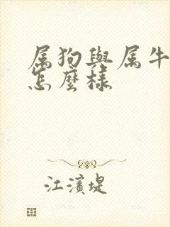 属狗与属牛相处怎么样