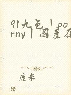 91九色丨porny丨国产在线