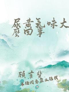 尿黄气味大是怎么回事