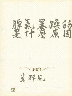 脾气暴躁的孩子是什么原因