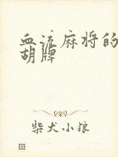 血流麻将的各种胡牌