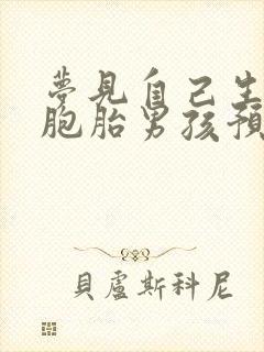 梦见自己生了双胞胎男孩预示什么