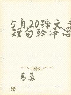 5月20号文案短句干净治愈