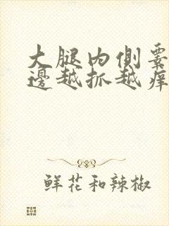 大腿内侧睾丸旁边越抓越痒