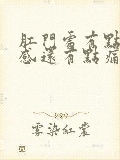 肛门处有点下坠感还有点痛什么原因