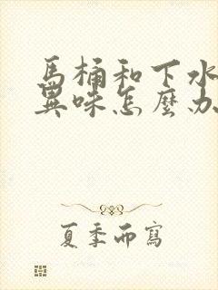 马桶和下水道有异味怎么办