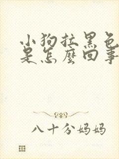 小狗拉黑色便便是怎么回事