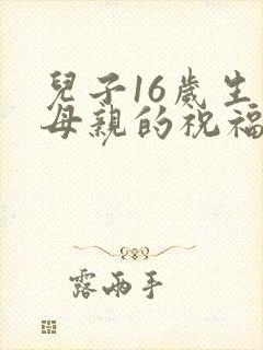 儿子16岁生日母亲的祝福语