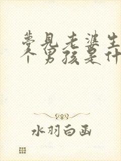 梦见老婆生了一个男孩是什么征兆