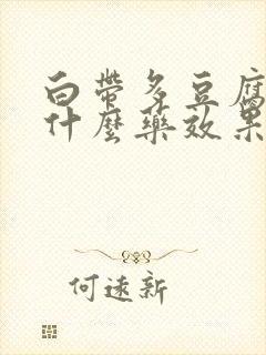 白带多豆腐渣用什么药效果好