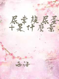 尿常规尿蛋白3+是什么意思