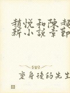 赵悦和陈超的最新小说章节更新时间