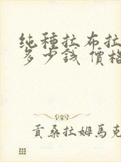 纯种拉布拉多犬多少钱 价格