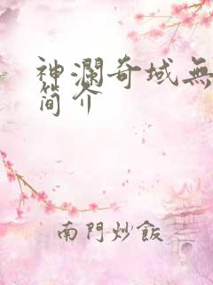 神澜奇域无双珠简介