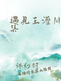 遇见王沥川22集