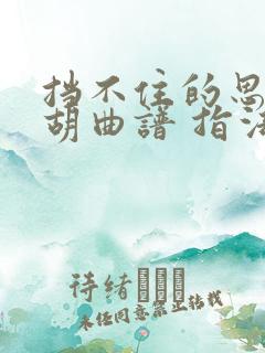 挡不住的思念二胡曲谱 指法