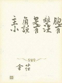 主角是双胞胎的小说有没有