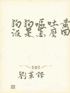 狗狗呕吐黄水粘液是怎么回事