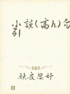 小说(高h)勾引