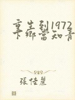 重生到1972下乡当知青的小说