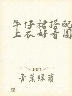 牛仔裙搭配什么上衣好看图片秋冬