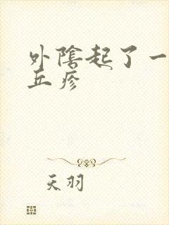 外阴起了一片小丘疹