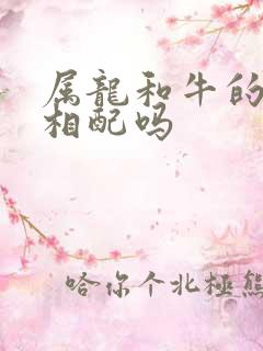 属龙和牛的婚姻相配吗