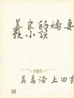 善良的娇妻被调教小说