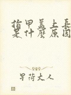 指甲盖上长白点是什么原因