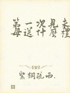 第一次见未来岳母送什么礼物好