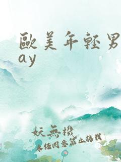 欧美年轻男同gay