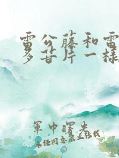 雷公藤和雷公藤多苷片一样吗