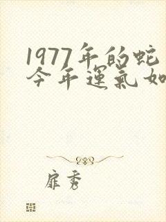 1977年的蛇今年运气如何