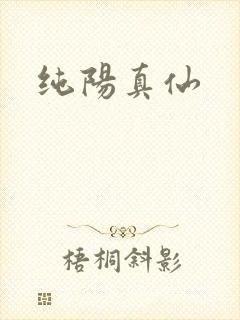 纯阳真仙