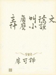 主角叫徐文的是什么小说