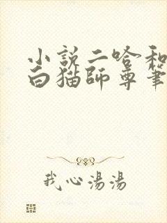 小说二哈和他的白猫师尊笔趣阁