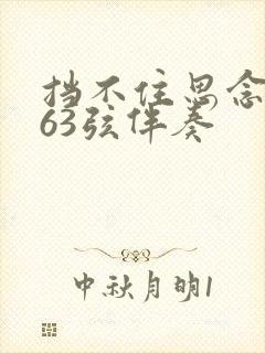 挡不住思念二胡63弦伴奏