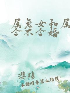 属兔女和属马的合不合婚