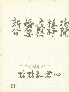 新婚夜植物人老公忽然睁开眼完结版