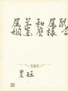 属羊和属鼠的婚姻怎么样 合吗