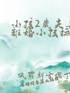 小孩2岁夫妻要离婚小孩抚养权归谁呢