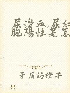 尿潜血,尿红细胞阳性是怎么回事