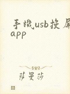 手机usb投屏app