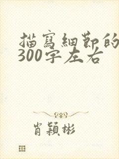 描写细节的片段300字左右