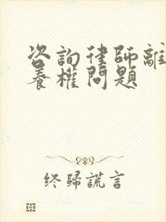 咨询律师离婚抚养权问题