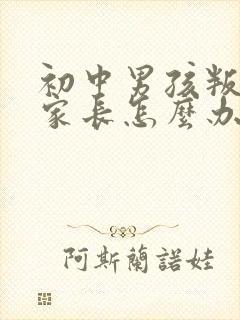 初中男孩叛逆期家长怎么办