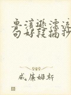 鲁滨逊漂流记好句好段摘抄