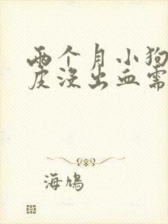 两个月小狗咬破皮没出血需要打针吗