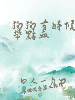 狗狗有时候尿里带点血